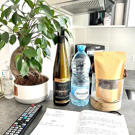 Hyper Centre - Cathedrale - Parking Gratuit Apartman Colmar