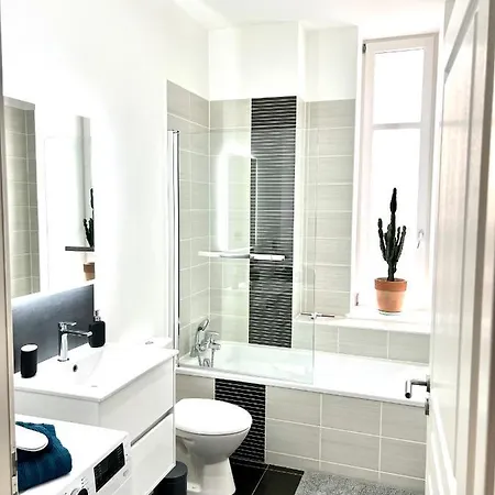 Hyper Centre - Cathedrale - Parking Gratuit Apartment Colmar